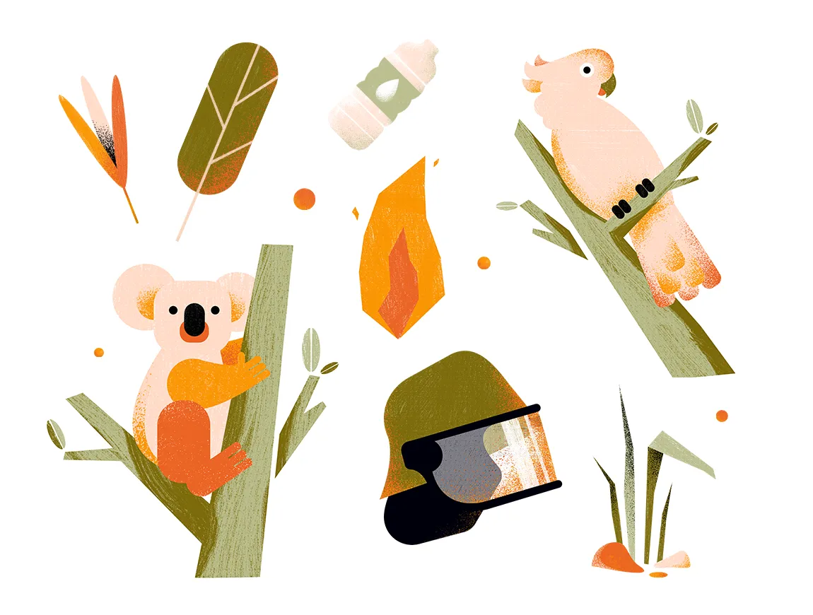 Illustrationen von einem Koala, einem Feuerwehrhelm, einem Kakadu, einer Flamme und Naturelementen